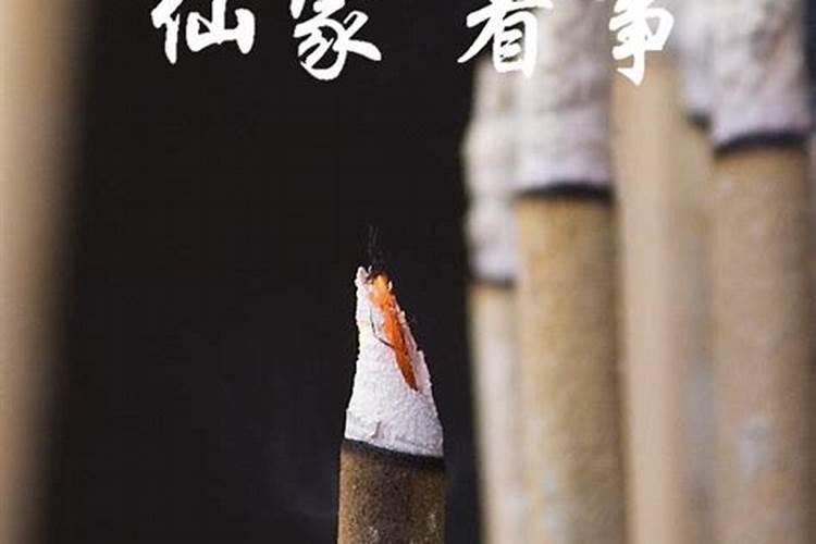 1987年属兔2025年运势