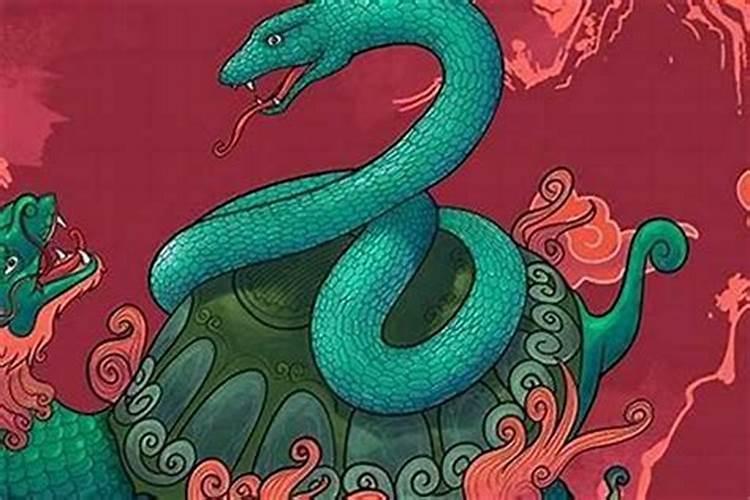 属蛇人犯太岁的化解方法