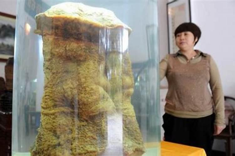 2024年属鸡多大了虚岁 不同年份出生的属鸡人命运分析