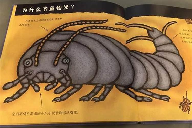 怎么化解冤亲债主？