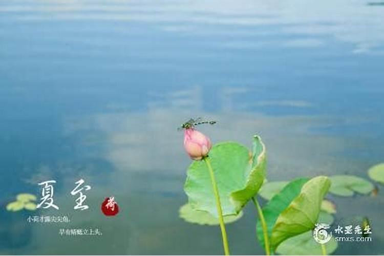 2024年犯太岁可以出门旅游吗需要注意什么？