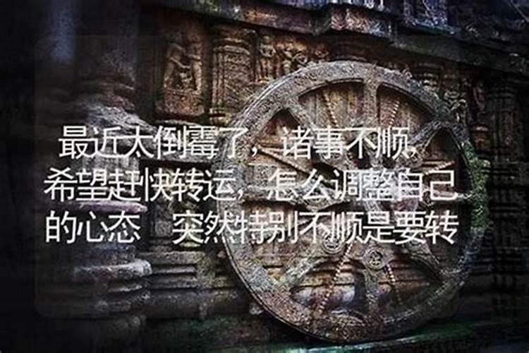 转运最快最猛的方法