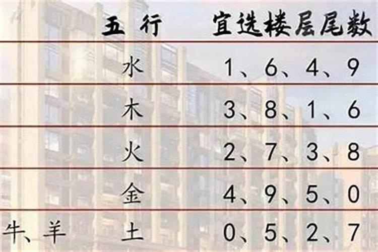 5楼为什么是黄金楼层？有什么说法呢？