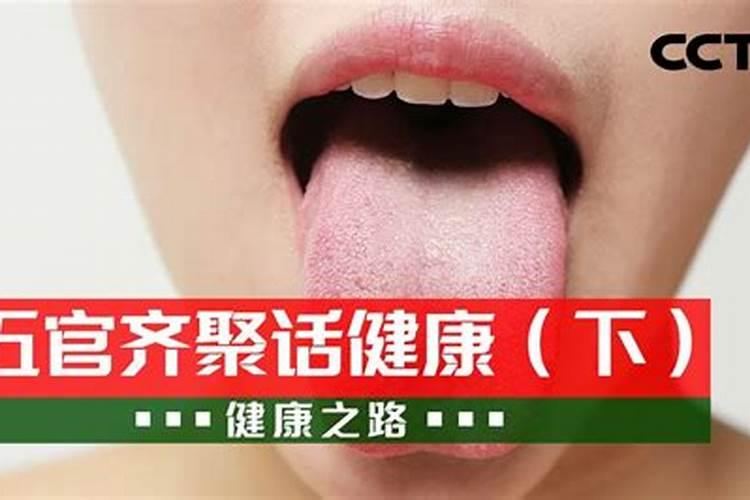 属虎的和什么属相最配