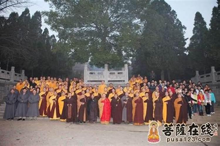 属龙的和属兔的婚配好不好呢,龙和兔在一起财运如何