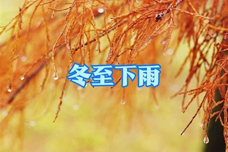 阴历十月初一的女孩命运如何