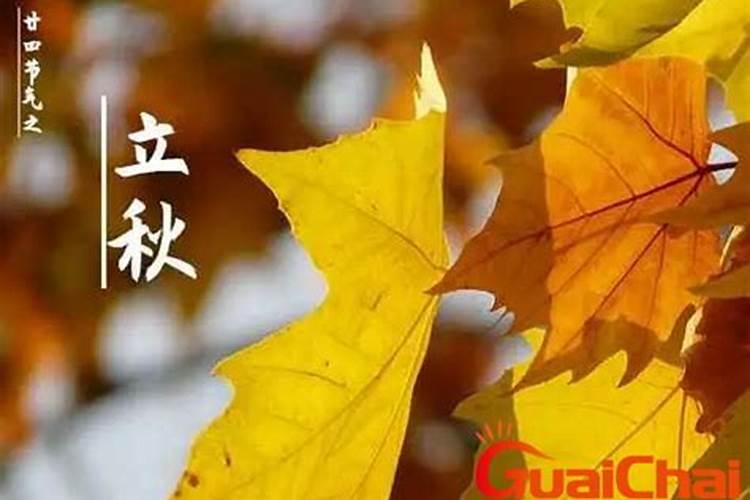年初二拜神需要什么