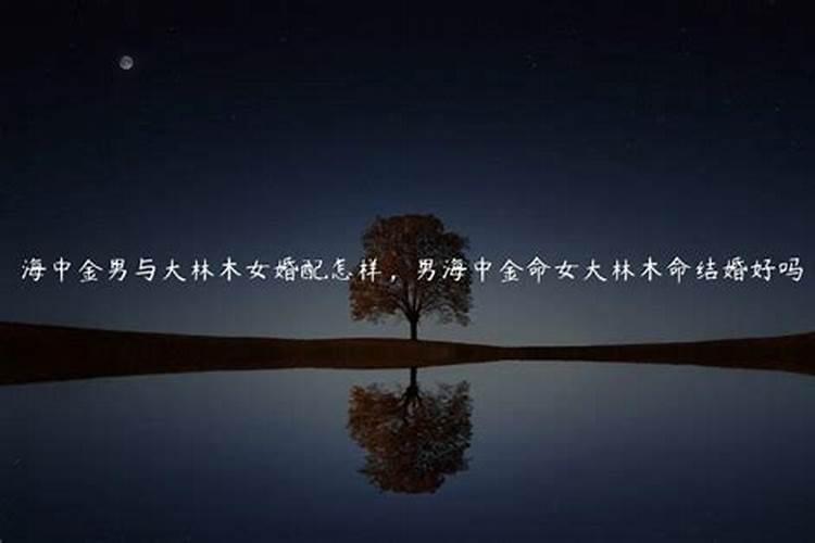 八字命理合婚 剑锋金命男和大林木命女相配吗