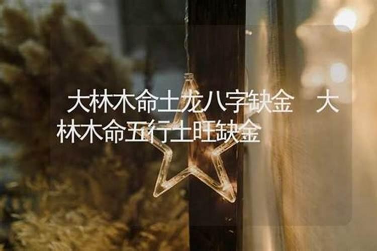 女89年属蛇大林木命男92年属猴剑锋金命可以在一起吗