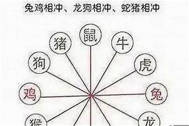 生肖相害的人能结婚吗 夫妻最不合的属相
