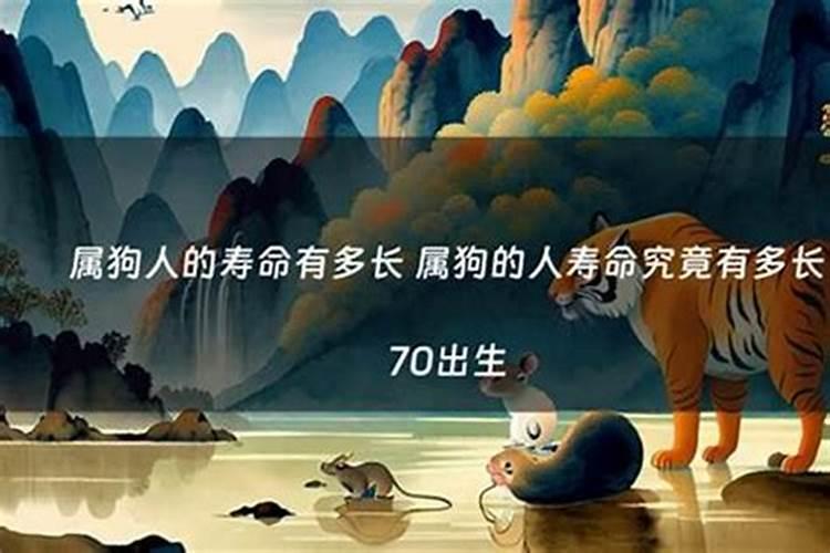 属猴人遇2025蛇年运势如何