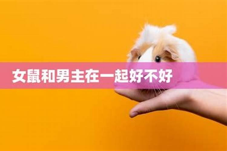 91男羊96女鼠八字合适吗,91年的羊男,和96年的鼠女,真的不能一起