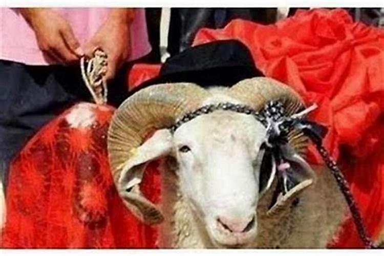 盲派命理准确断结婚流年,盲派命理界是怎么断婚期的？