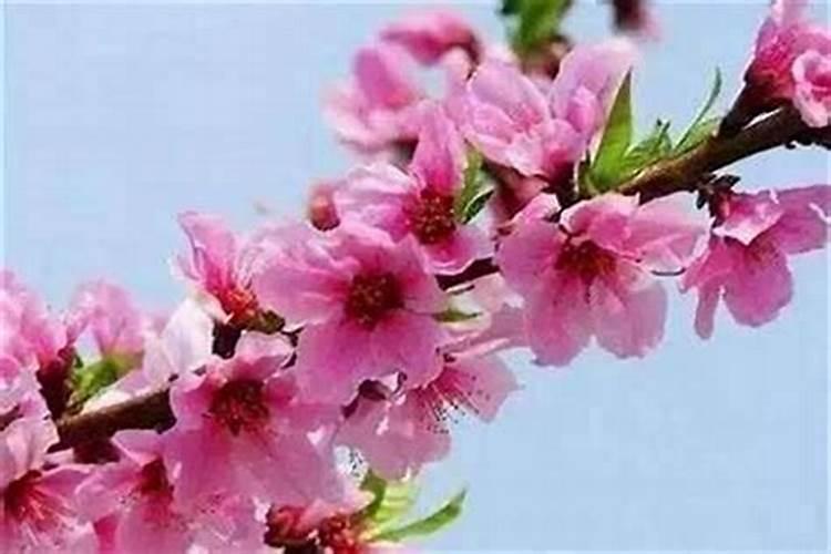 财神爷挂哪面墙上好 财神爷贴在进门的对面的墙上对吗