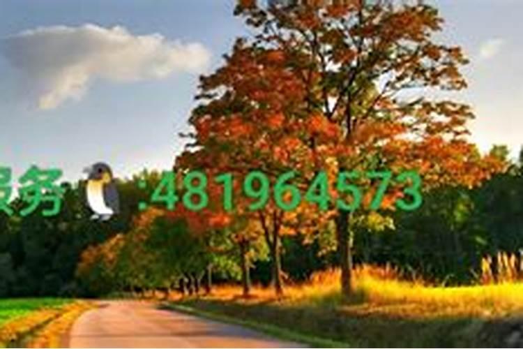 请问各位网友78年11月27日阴历早上7点至8点出生五行中缺什么？