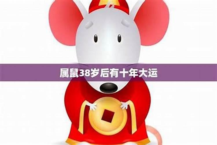大师详解:属蛇2023年全年运势运程及每月运程？