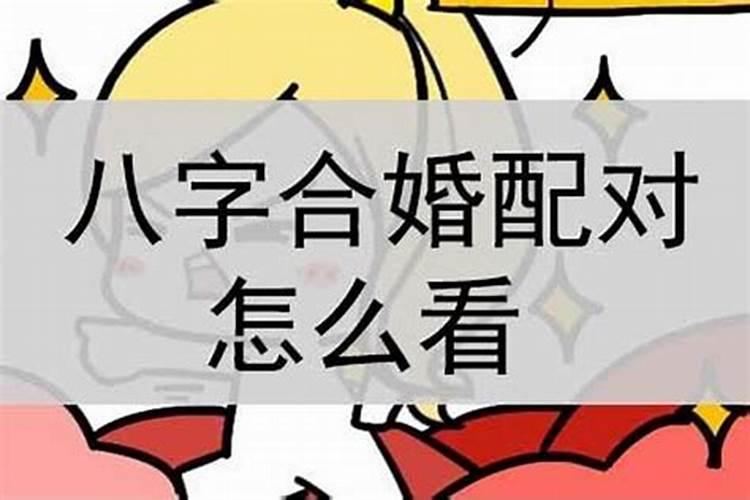 梦见狗身上都是血的预兆