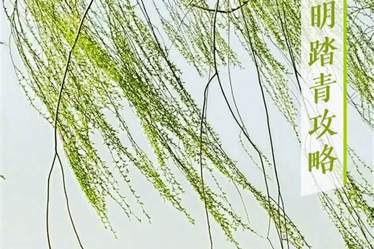 广州清明节去哪里踏青