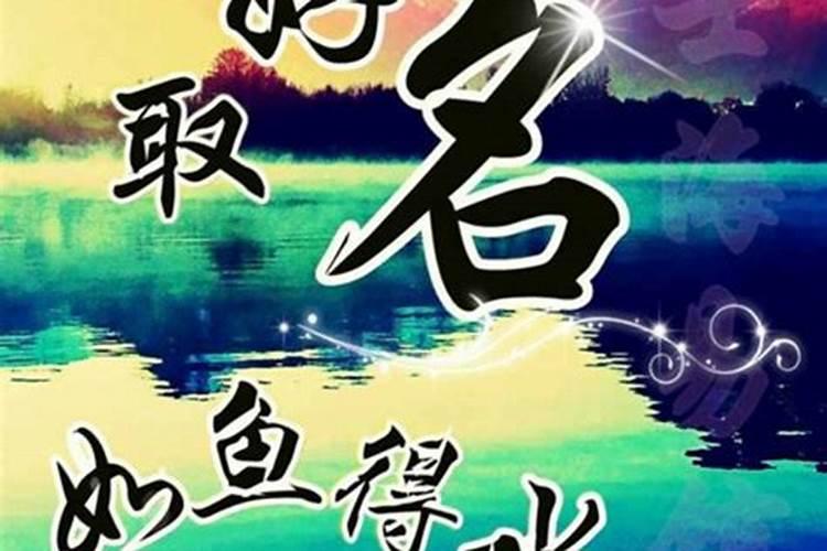 82年属狗人2025运势运程