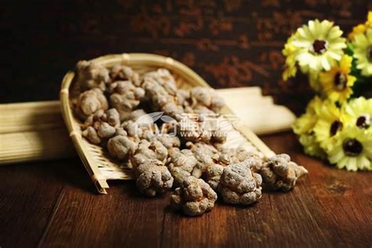 属牛的几月出生最好