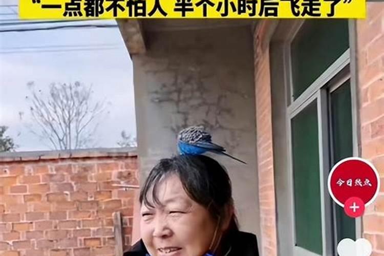 梦见喜欢的人对我冷漠