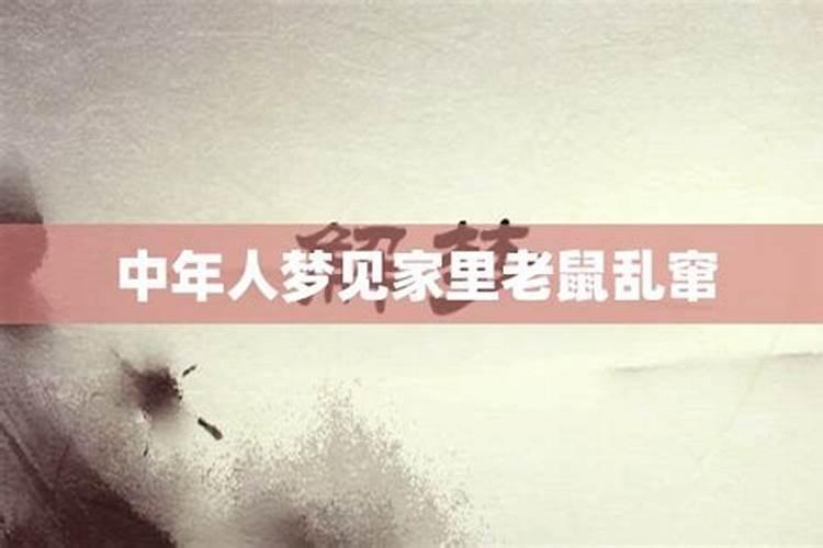 梦见老鼠乱窜有何含义
