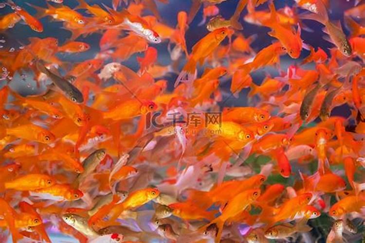 已婚女人梦见回到以前住过的地方？