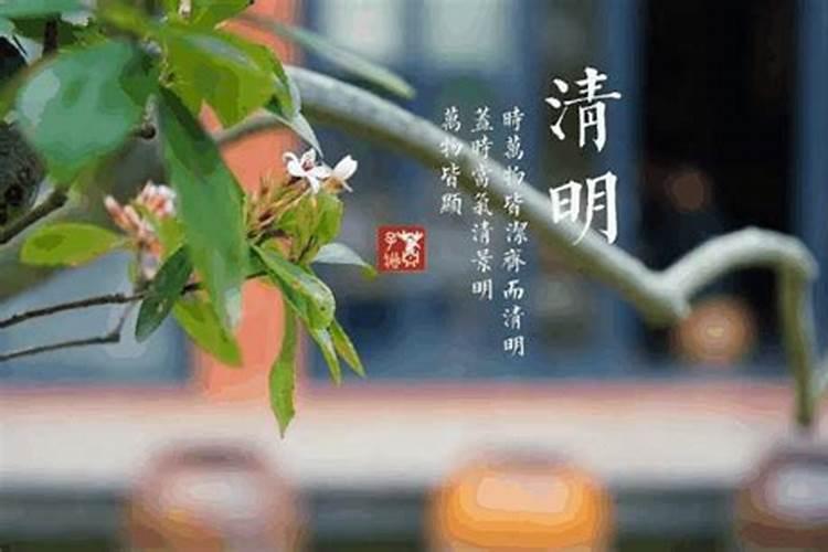今年清明节几月几号几时几分2024
