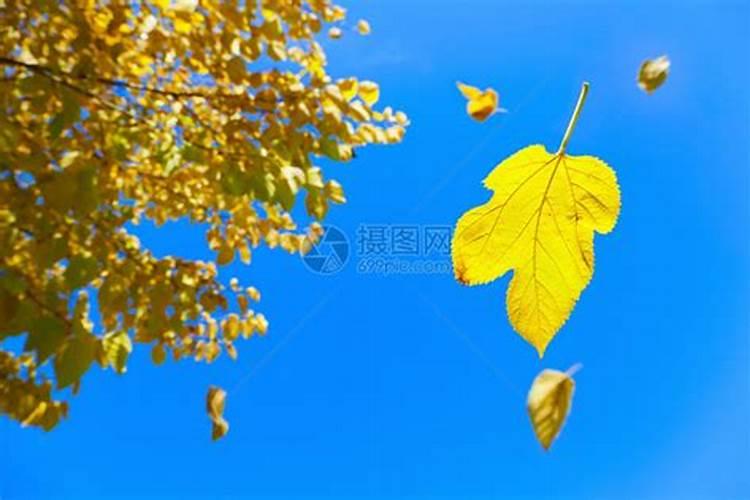 八字算命:八字怎么看结婚早晚？
