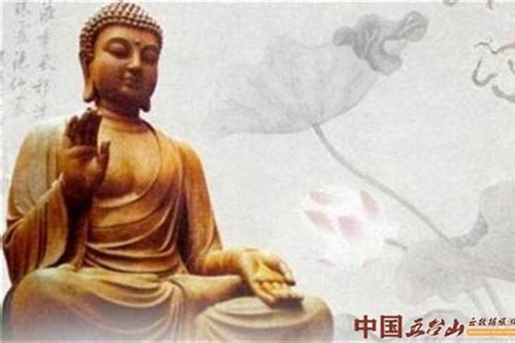 青岛今年的8月5日是阴历七月十五什么时候涨退潮？