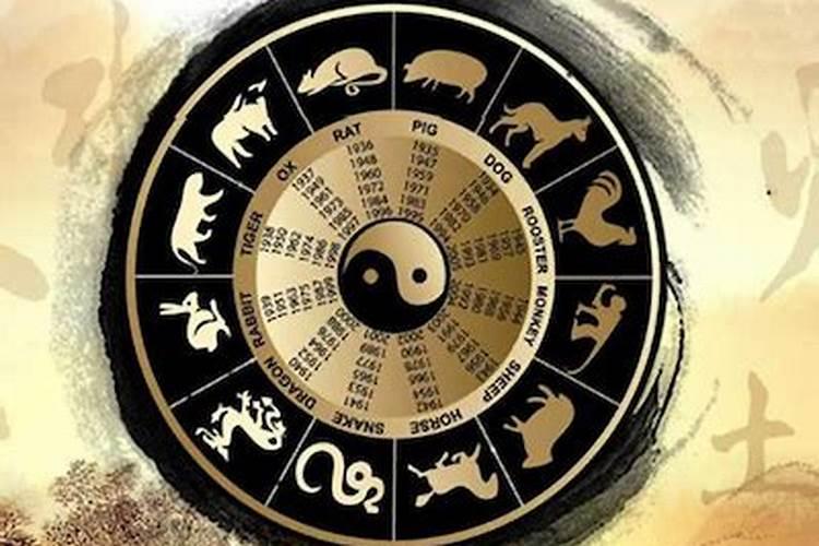 别人梦见我怀孕了什么意思