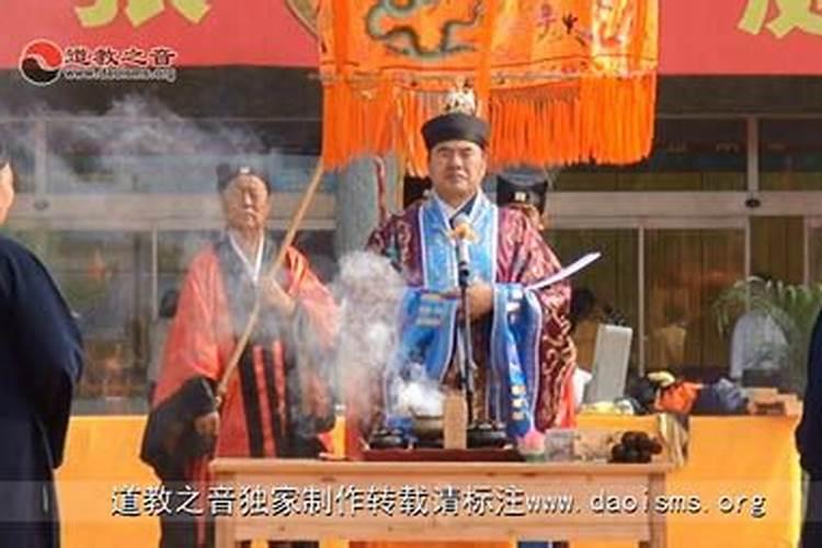 梦见一只老鼠乱窜