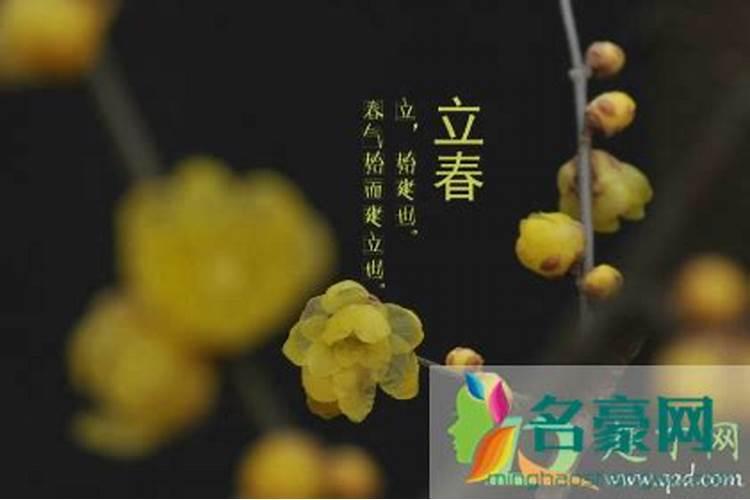 2025年71年属猪每月运势