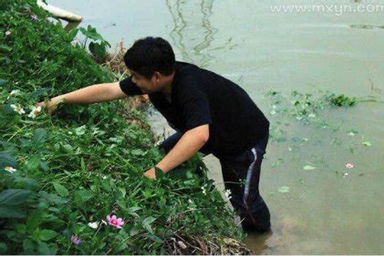 梦见一家人在大河里游泳的预兆