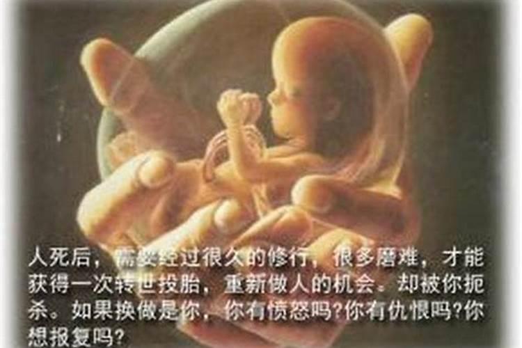 生于1963年4月15号5——7时命运婚姻