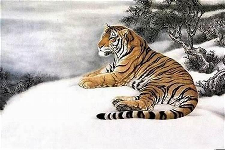 子未相害是什么意思？