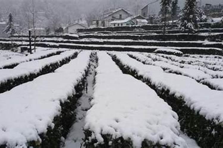 宜昌适合春节玩的景点