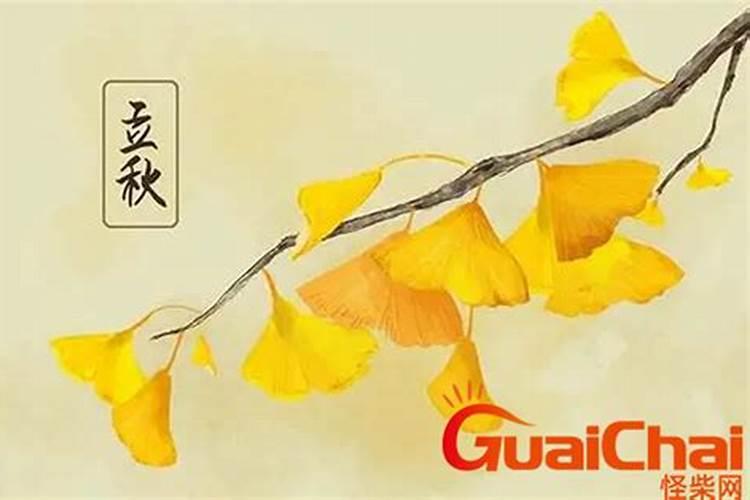 86年财运最好的哪些年,86属虎一生几次财运