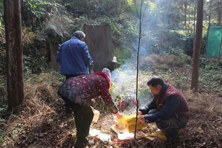 梦见梦里爸爸妈妈的预兆