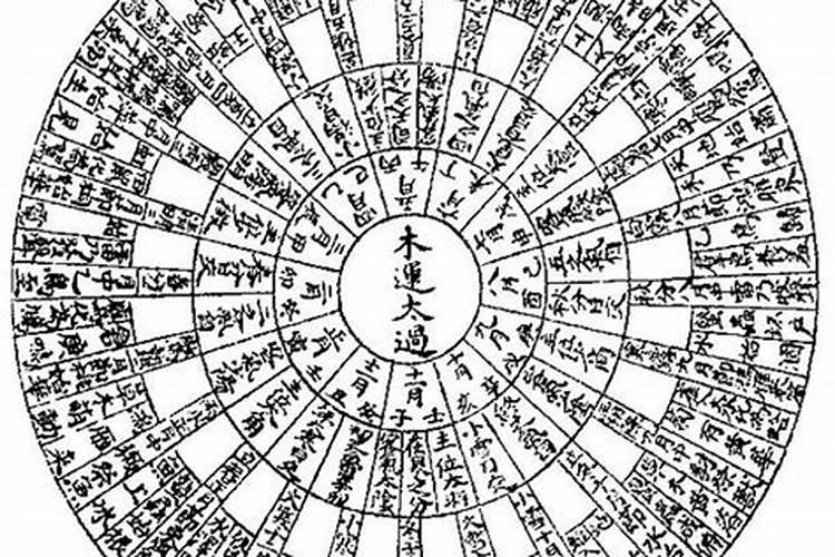 壬戌年 丁未月 辛丑日 壬辰时,请教运程
