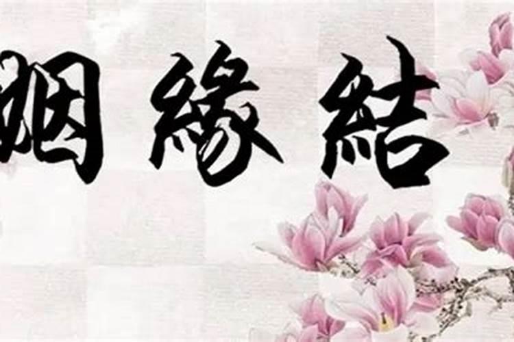 农历2006年12月20日属于什么生肖年？