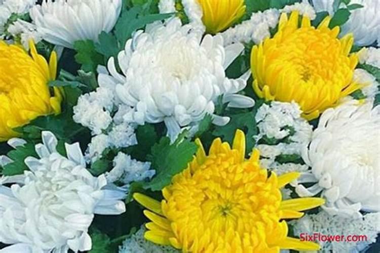 冬至扫墓鲜花用什么花