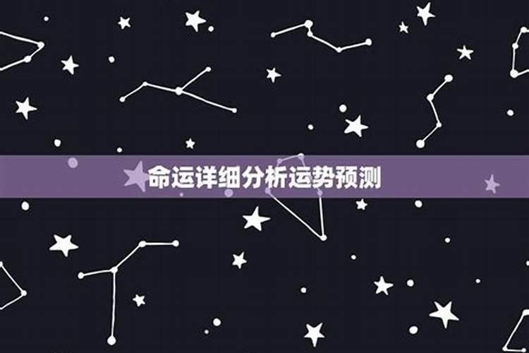终身运程详批八字测命？