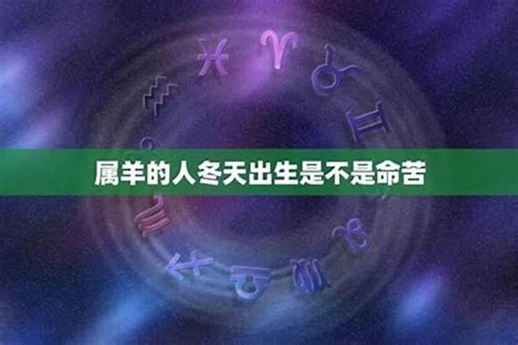 属羊冬月出生好吗