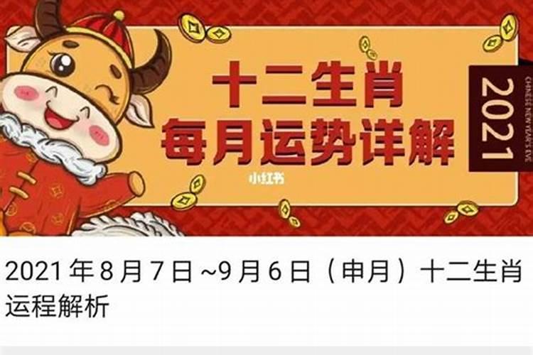 2025年属猪运势及运程1983年生人