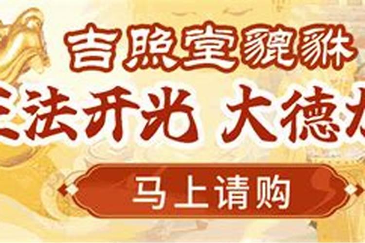 2025年94年属狗人的全年运势详解