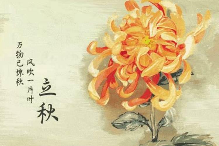 少华山人多吗,过年玉山旅游景点
