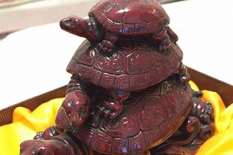 生肖属兔的父母不适合生什么生肖属相的小孩？