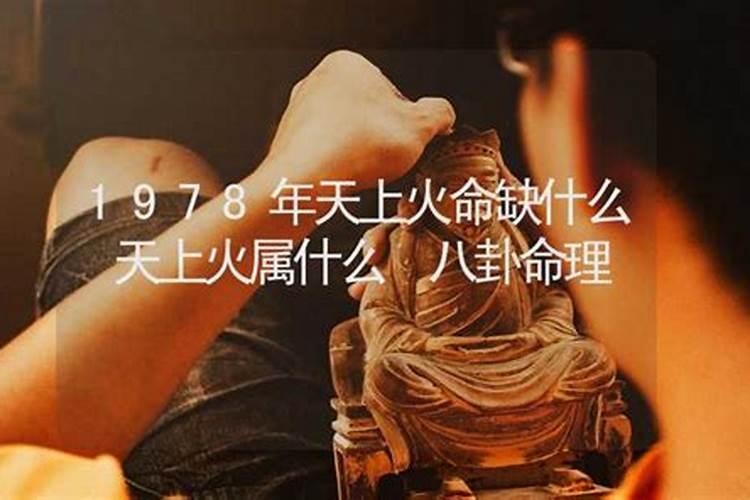 蛇立冬后还会出来觅食吗