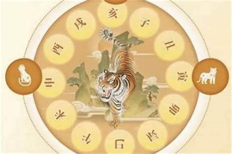 犯太岁是什么意思？